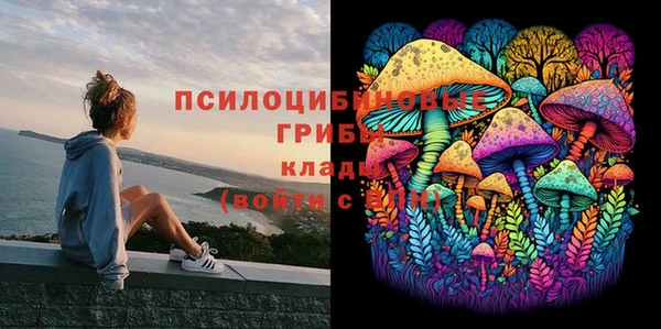экстази Абаза