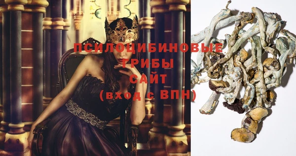 экстази Абаза