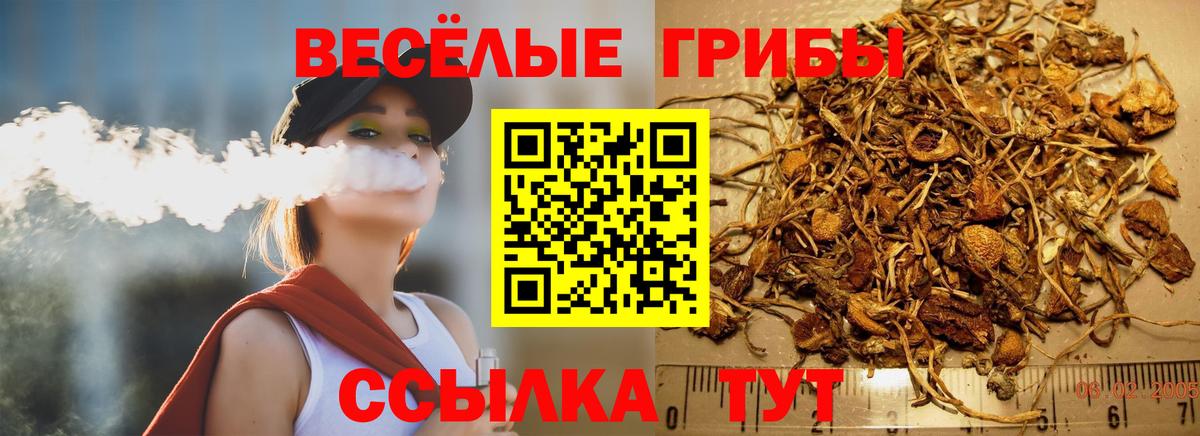 Алатырь  Галлюциногенные грибы MAGIC MUSHROOMS  Вход с VPN 