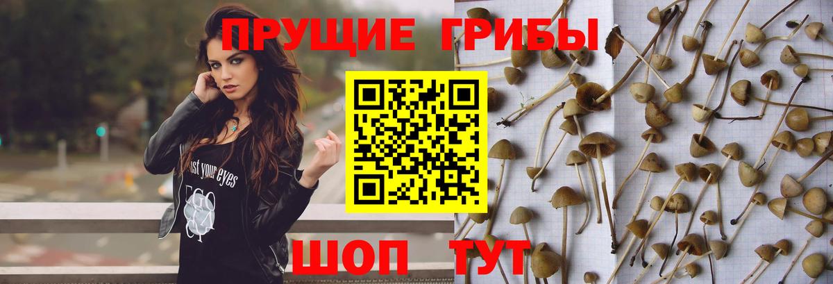 Псилоцибиновые грибы мухоморы Алатырь